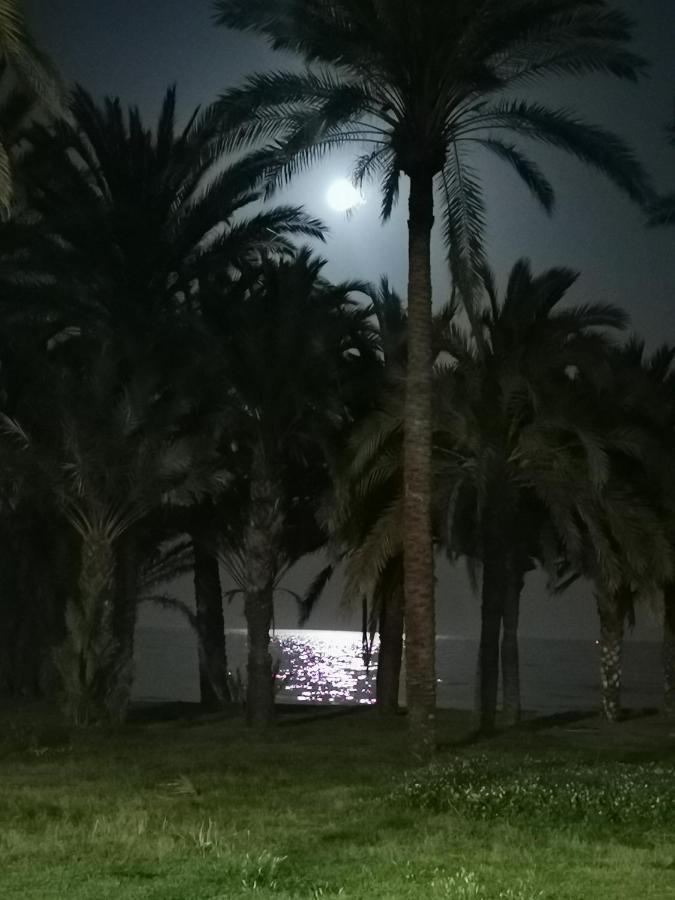 Lido Beachfront ตอร์เรโมลิโนส ภายนอก รูปภาพ